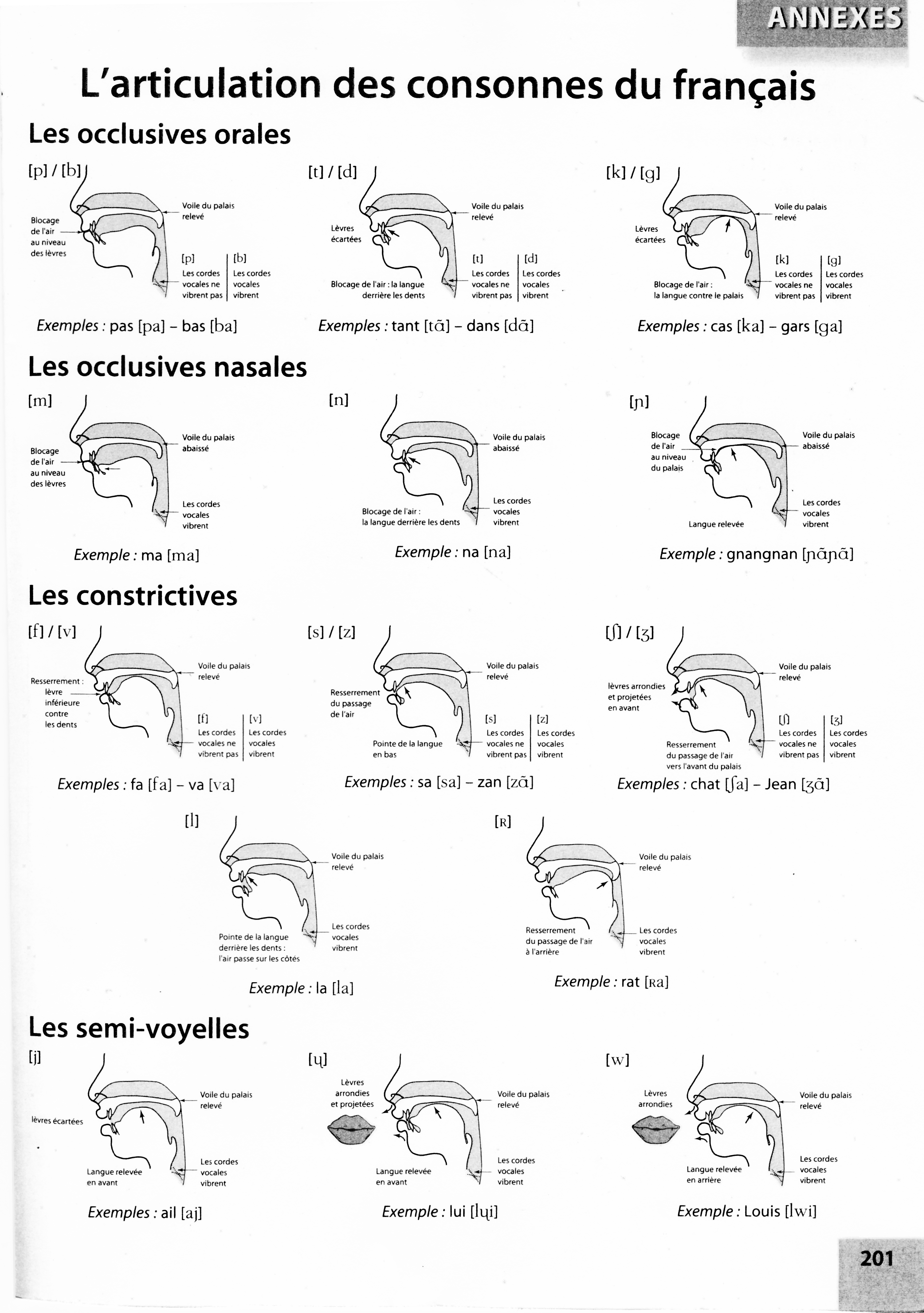 Laboratoire-phonétique B2A